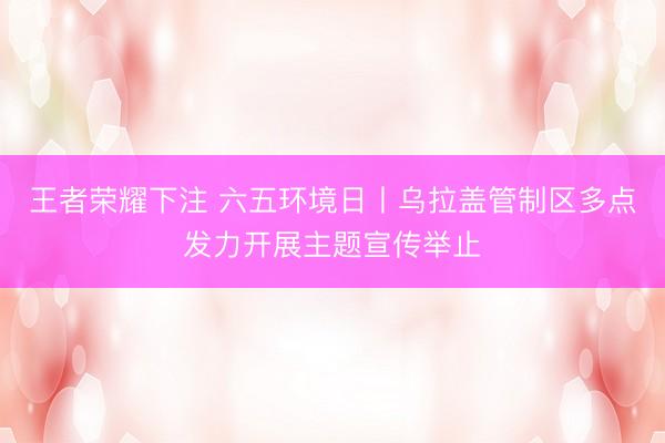 王者荣耀下注 六五环境日丨乌拉盖管制区多点发力开展主题宣传举止