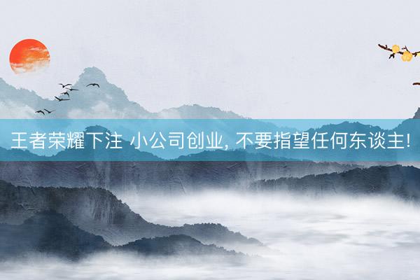 王者荣耀下注 小公司创业， 不要指望任何东谈主!