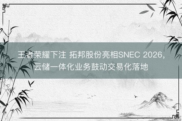 王者荣耀下注 拓邦股份亮相SNEC 2026，云储一体化业务鼓动交易化落地