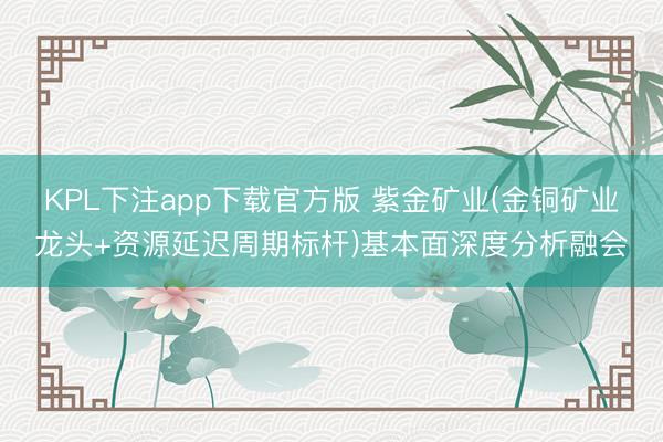 KPL下注app下载官方版 紫金矿业(金铜矿业龙头+资源延迟周期标杆)基本面深度分析融会