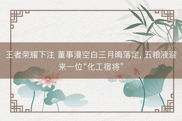 王者荣耀下注 董事漫空白三月晦落定, 五粮液迎来一位“化工宿将”