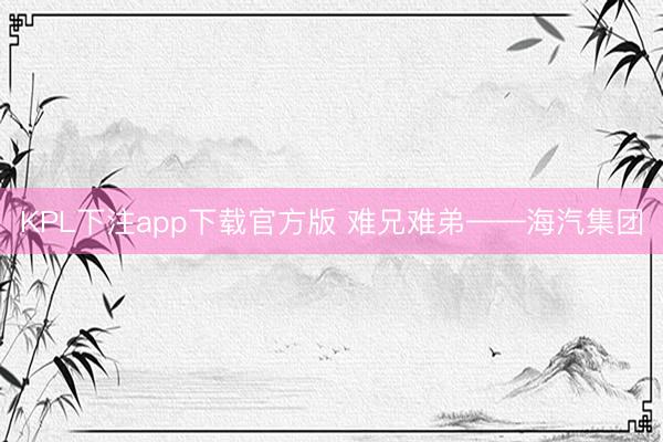 KPL下注app下载官方版 难兄难弟——海汽集团