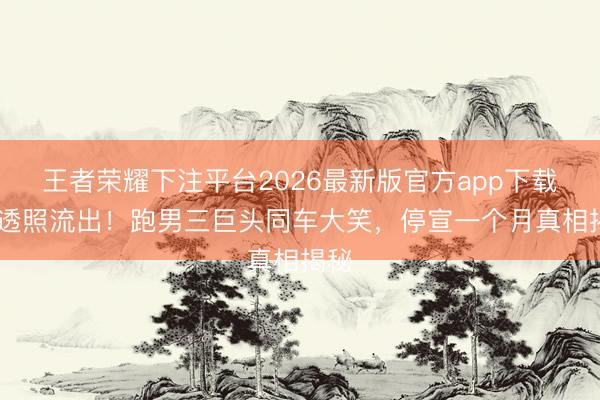 王者荣耀下注平台2026最新版官方app下载 路透照流出！跑男三巨头同车大笑，停宣一个月真相揭秘
