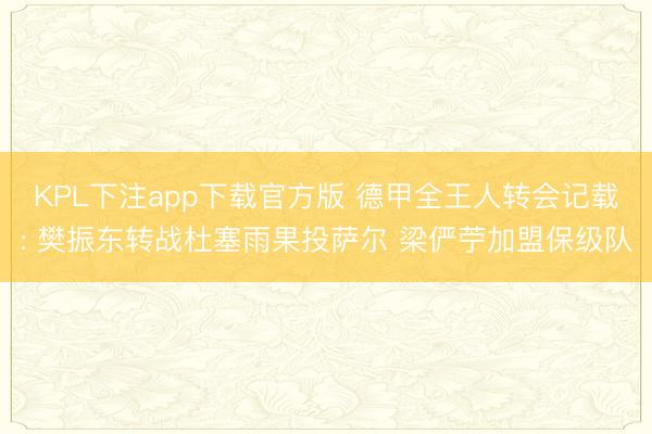 KPL下注app下载官方版 德甲全王人转会记载: 樊振东转战杜塞雨果投萨尔 梁俨苧加盟保级队