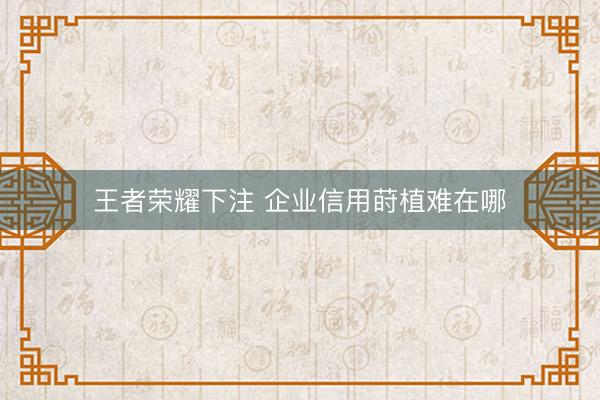 王者荣耀下注 企业信用莳植难在哪