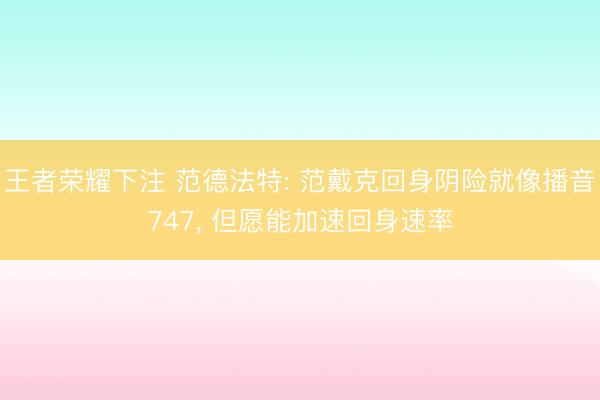 王者荣耀下注 范德法特: 范戴克回身阴险就像播音747， 但愿能加速回身速率
